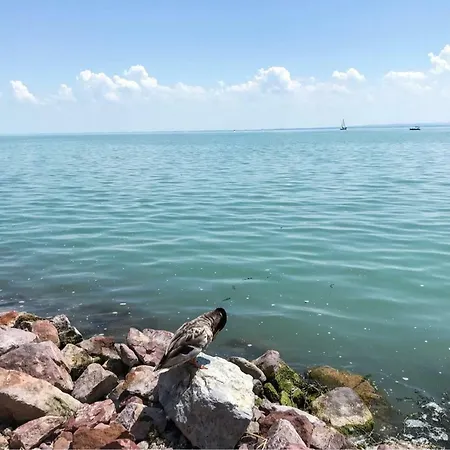 Appartement Balkon Horvath Haz